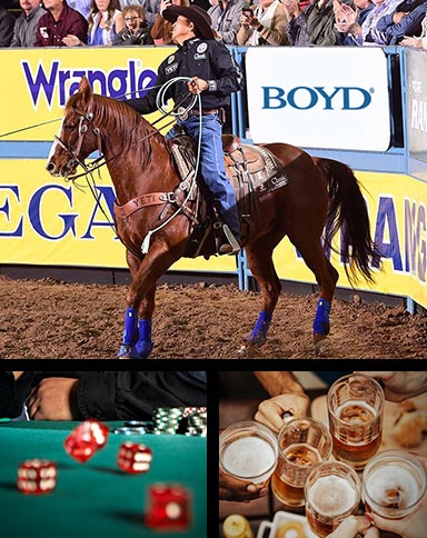 boyd nfr