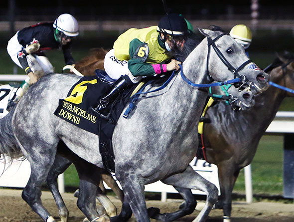 Horses racing at Evangeline Downs
